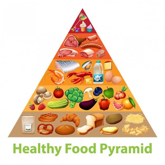 Пирамида питания: основы здорового питания