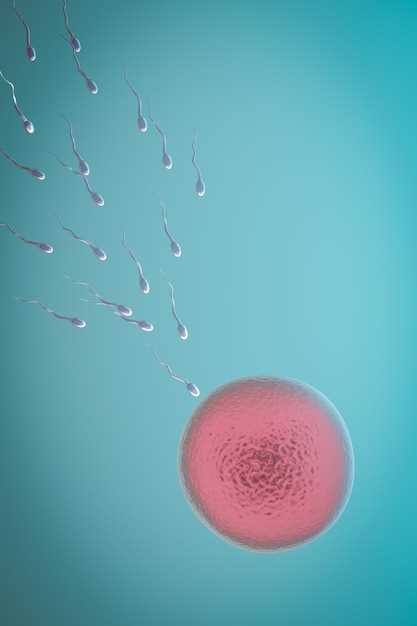Как происходит сперматогенез?