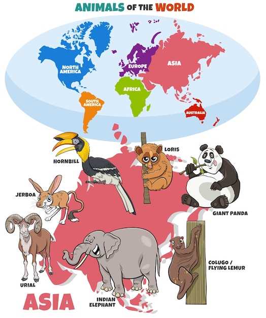 Священные животные стран мира - от Азии до Америки